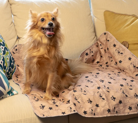 Waterproof Pet Training Pad